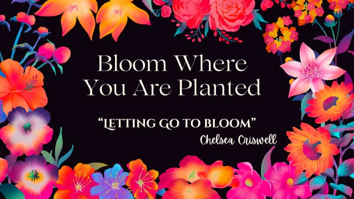 Letting Go to Bloom